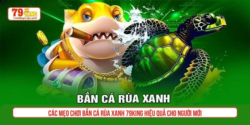Các mẹo chơi bắn cá rùa xanh 79King hiệu quả cho người mới