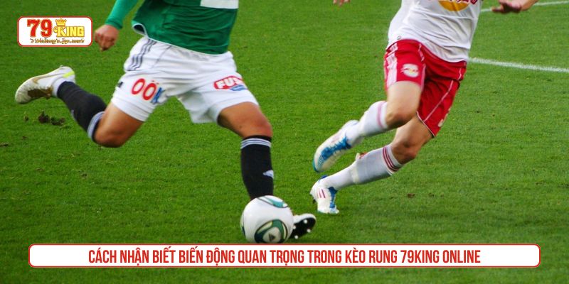 Cách nhận biết biến động quan trọng trong kèo rung 79King online