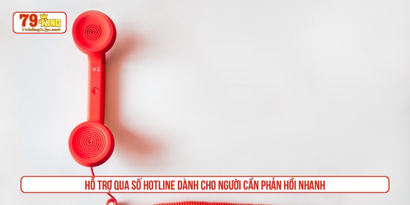 Hỗ trợ qua số hotline dành cho người cần phản hồi nhanh